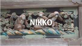 Private Tours in NIKKO