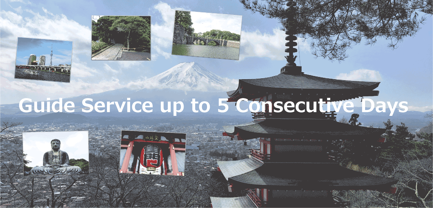Guide Service up to 5 Consecutive Days
