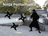 Ninja Performance
