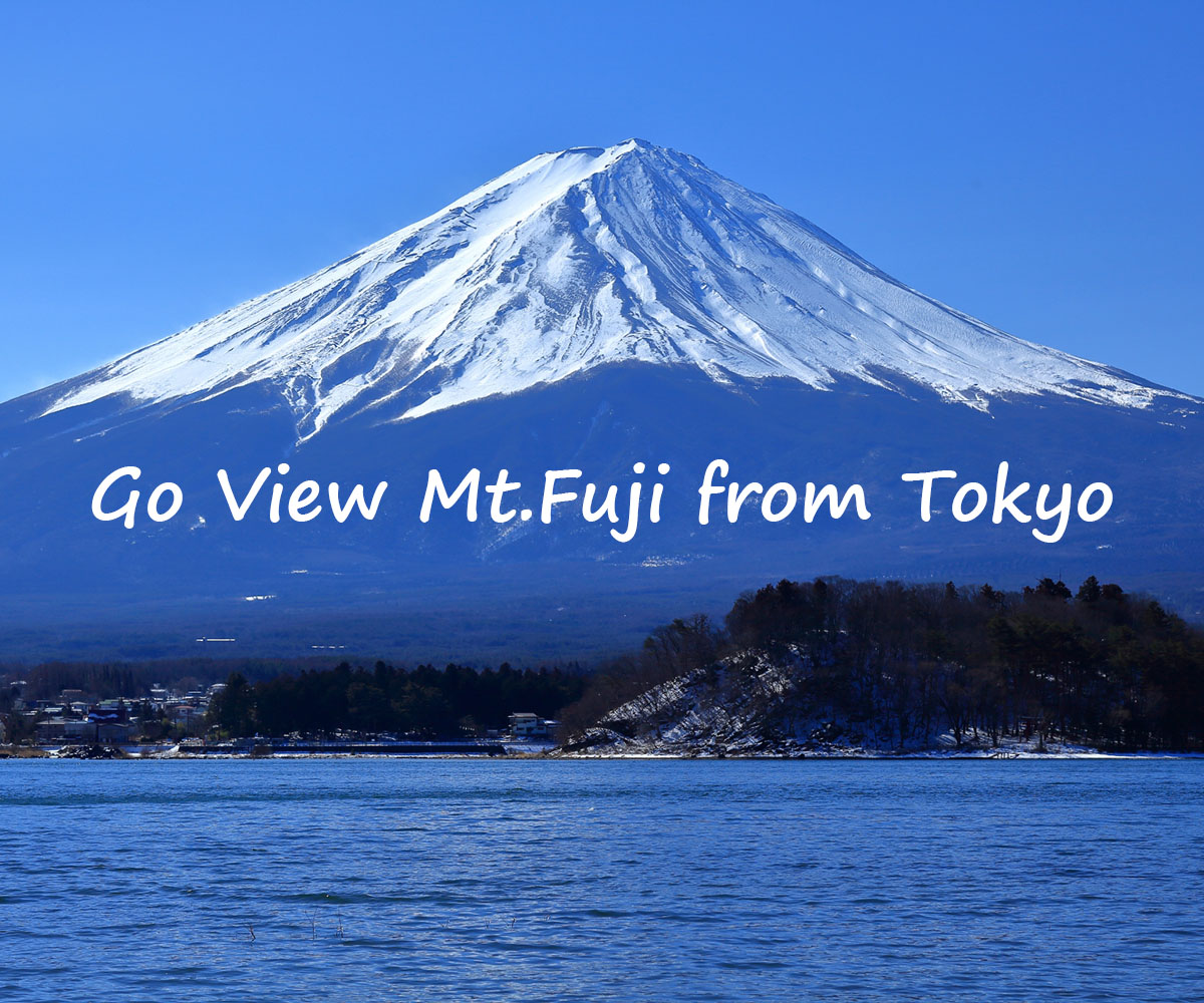 Mt.Fuji Trip