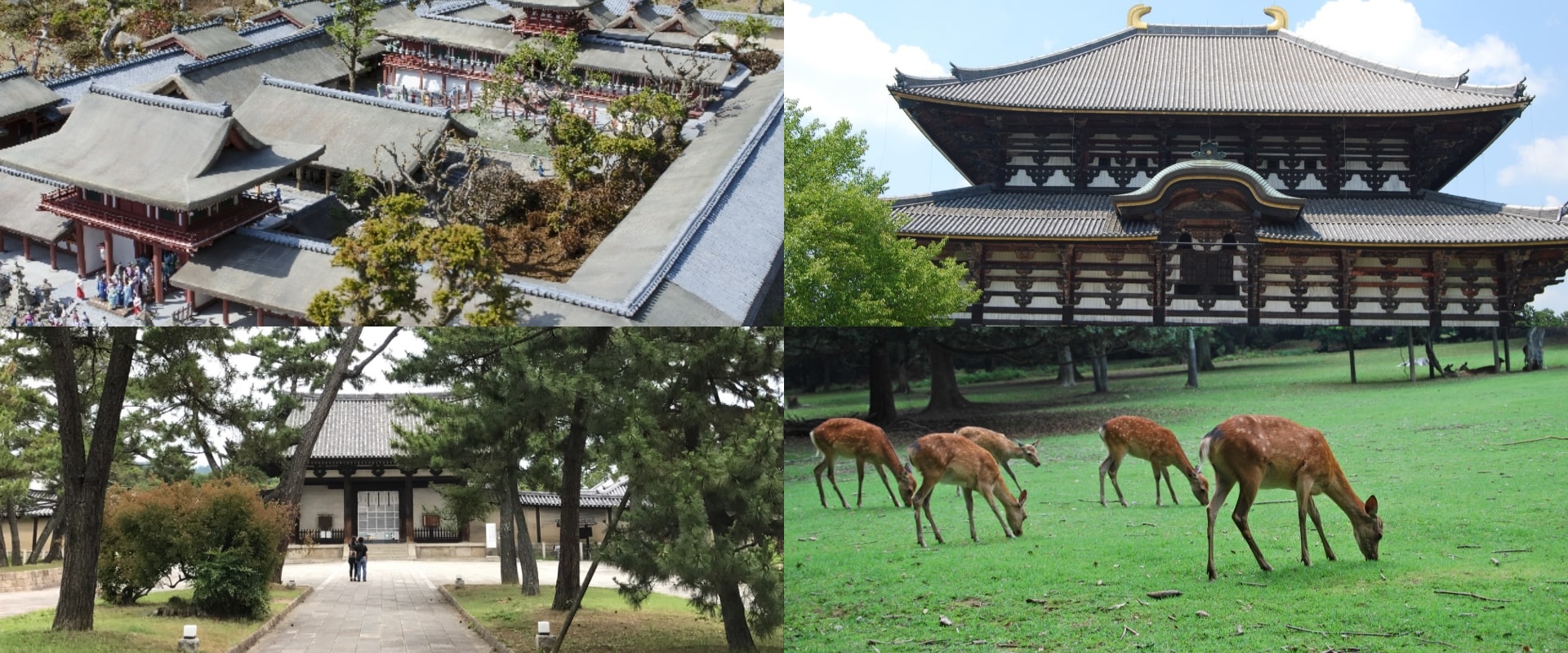 Private Tours in Nara