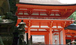 Kasugataisya Shrine