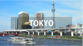 Private Tours in TOKYO