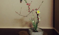 Ikebana