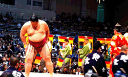 Sumo Tournament