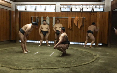 Sumo-Stable2
