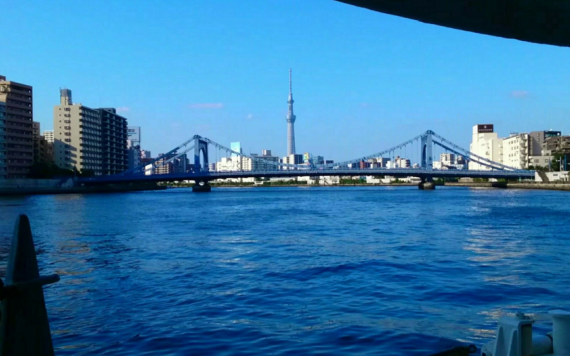 Tokyo Skytree came into sight after passing under many bridges!!