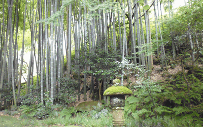 At Houkokuji Temple, you feel the atmosphere of serenity and tranquility while viewing bamboo grove.  