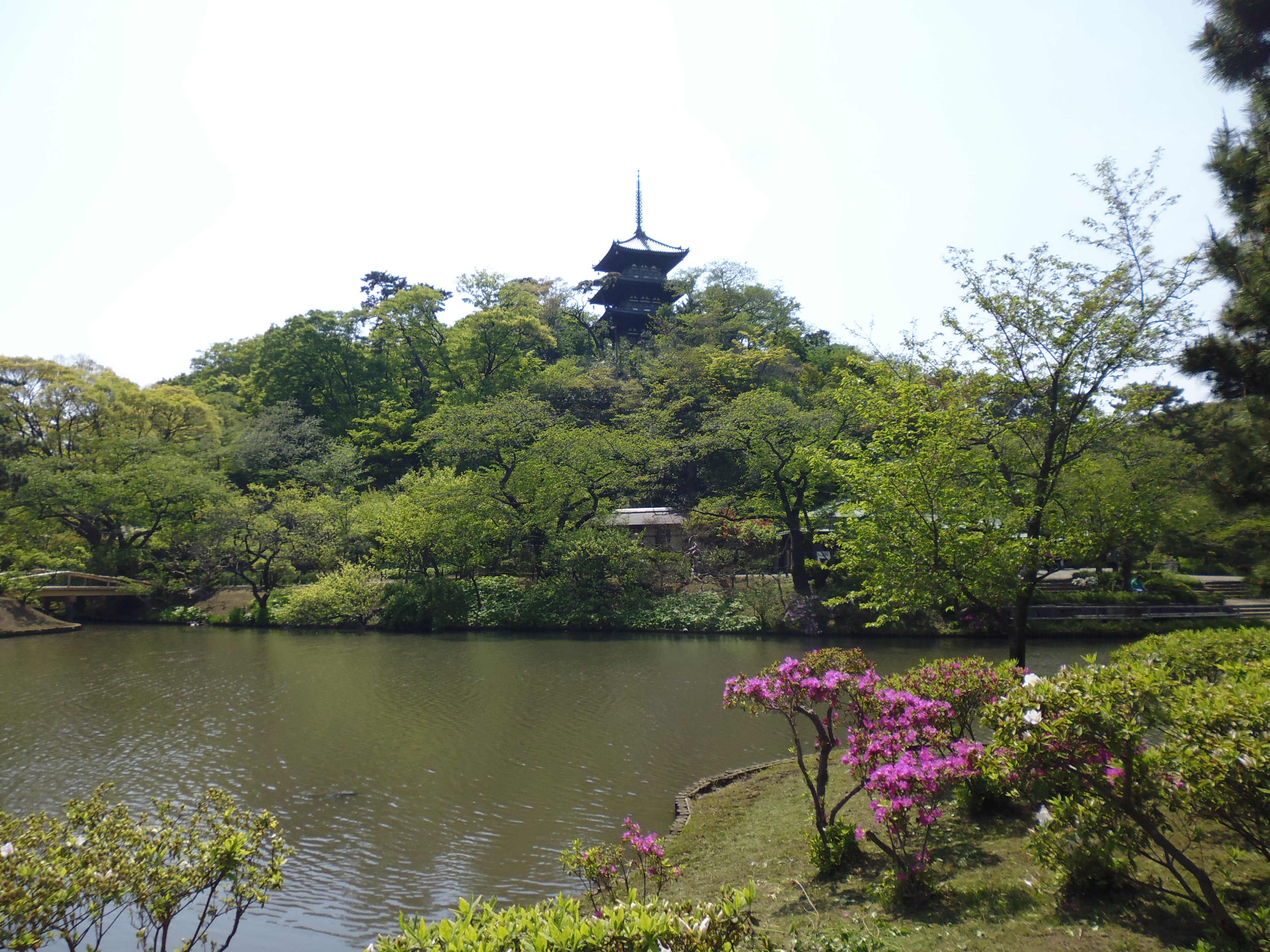 Sankei-en Garden was founded and designed by a successful silk trader, Hara Sankei in 1906. Besides beautiful Japanese-style gardens, where 10 old traditional wooden structures are designated as Important Cultural Properties. 