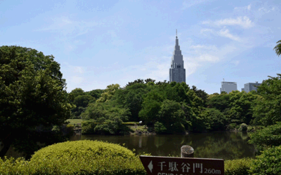 Shinjuku Gyoen National Gardens