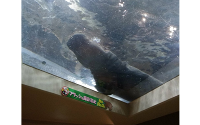 Asahiyama Zoo\\\'s Hippopotamus Museum 