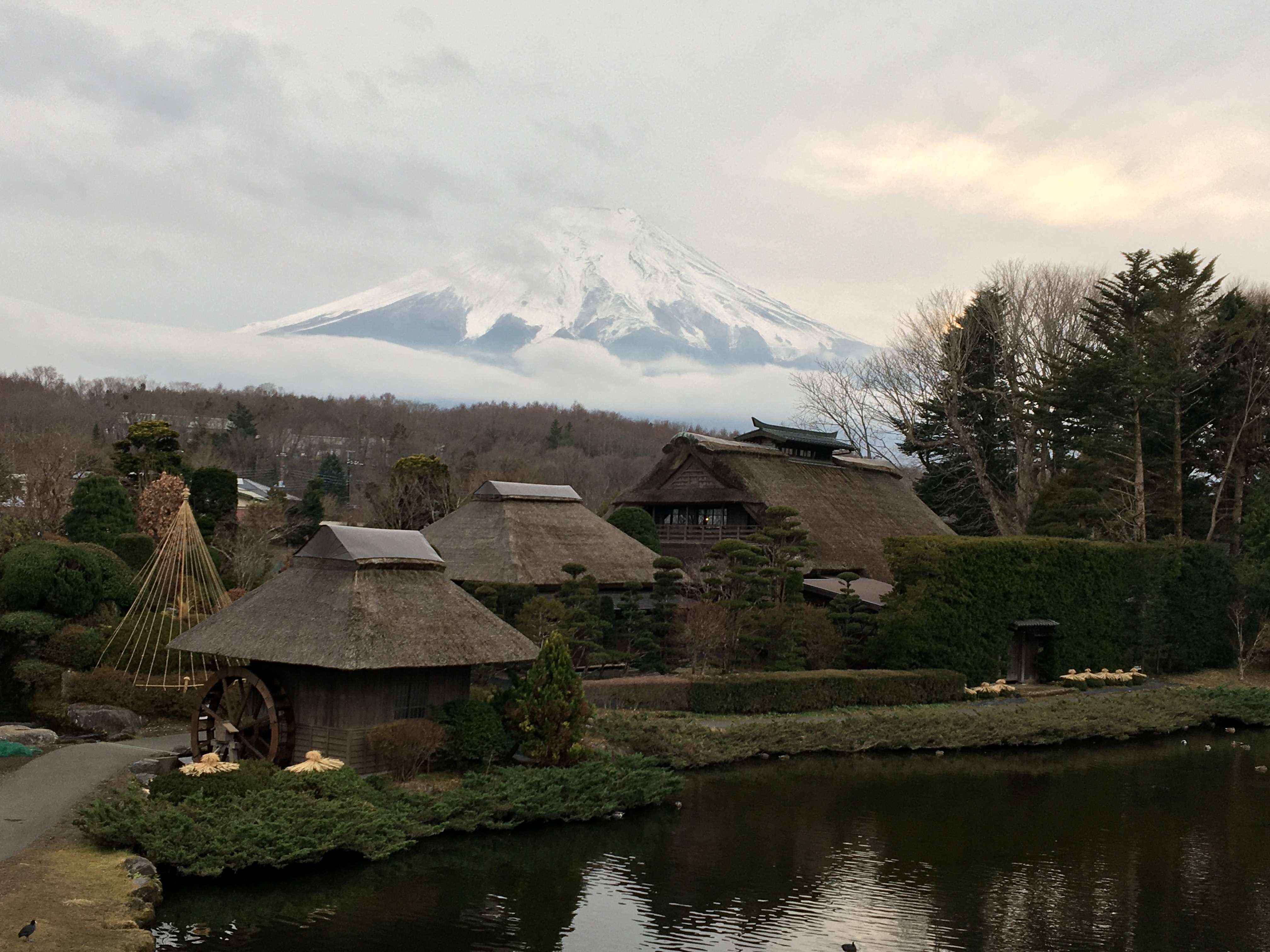 Mt. Fuji from Oshino Hakkai