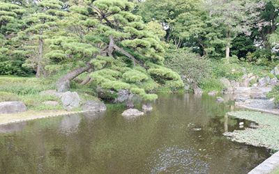Higashi Gyoen Gardens