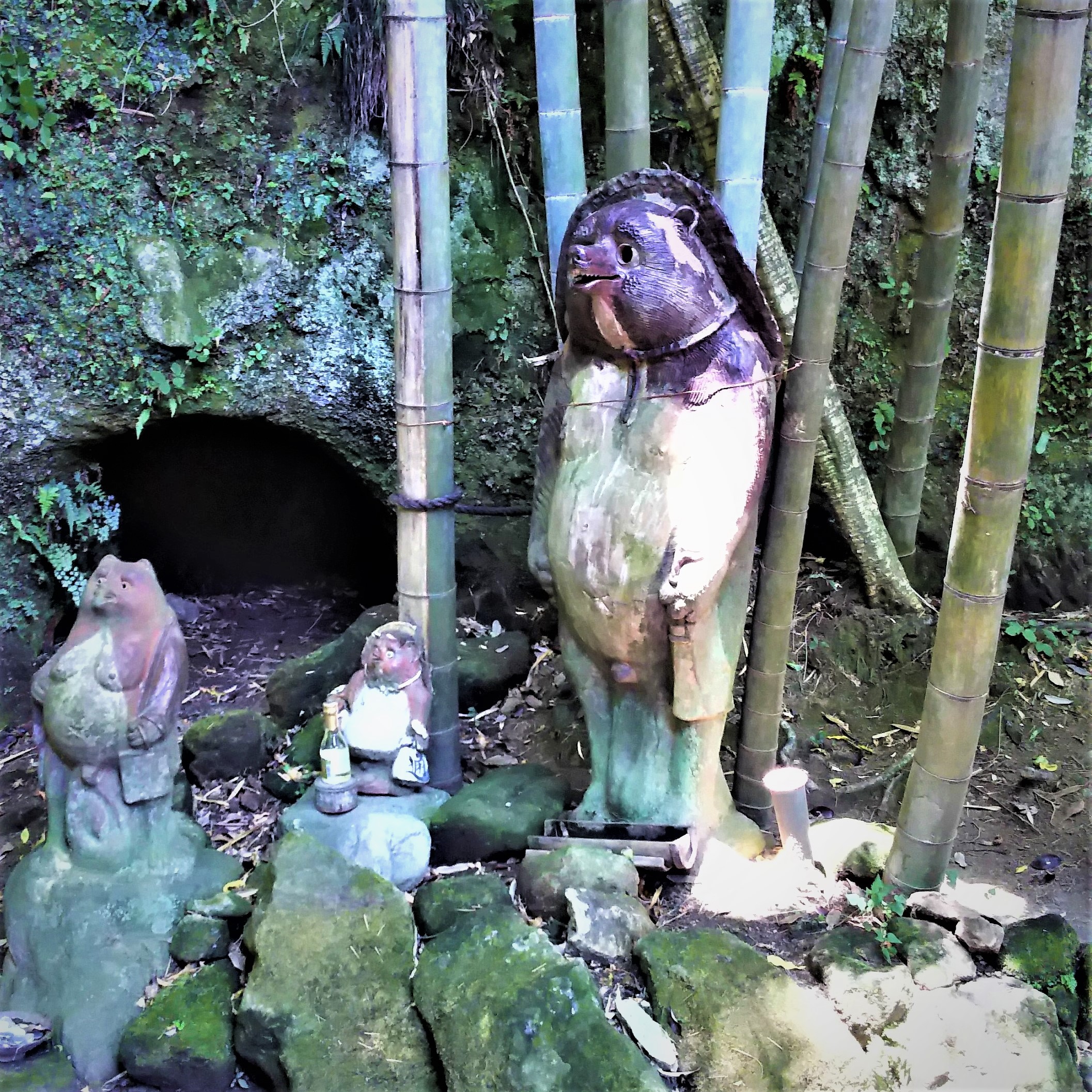 Jhochiji temple's  legendary tanuki the Japanese raccoon dog