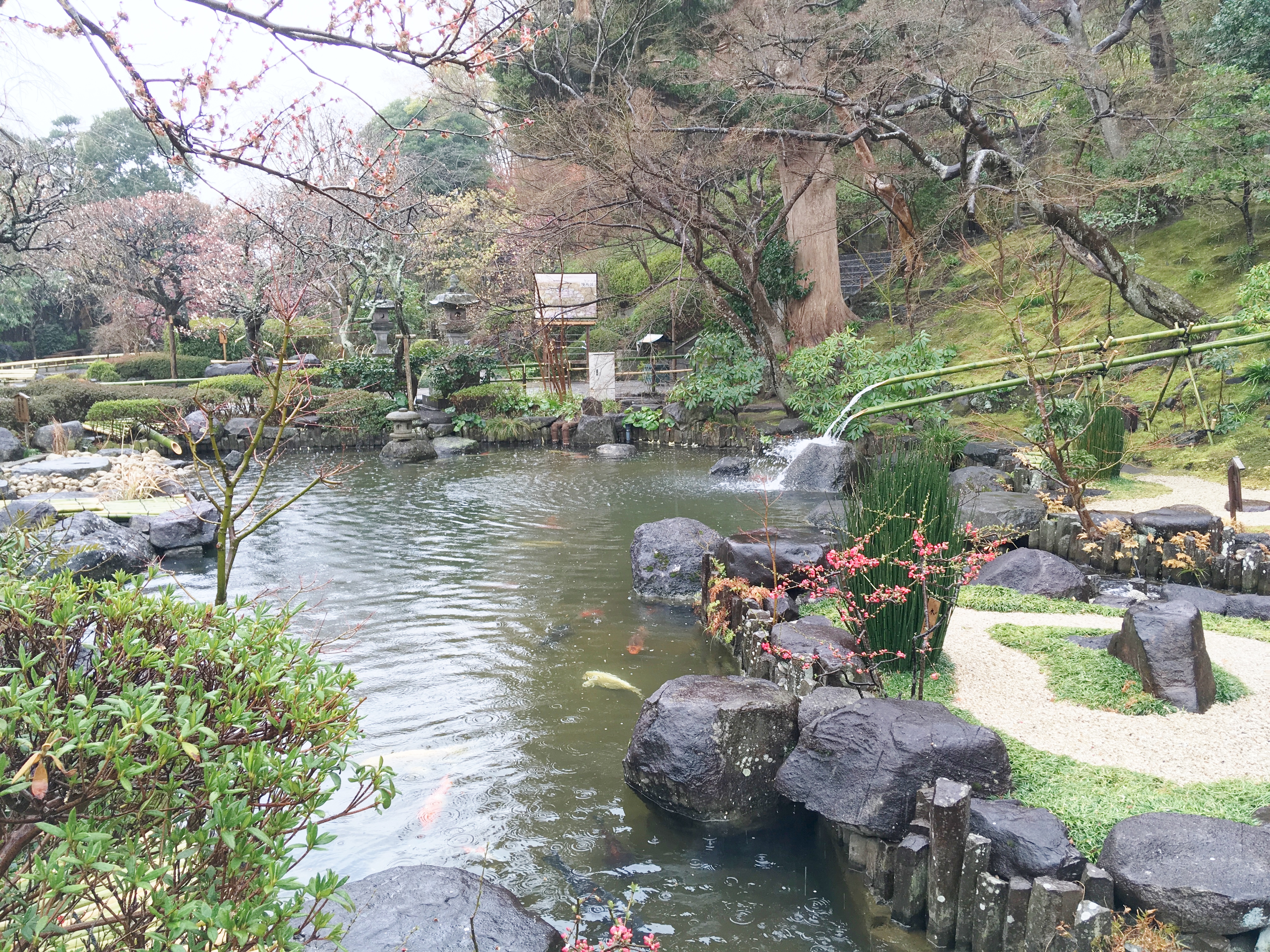 Japanese Garden in Hase-dera Temple