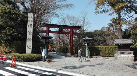 Nezu Shrine - Torii Gate