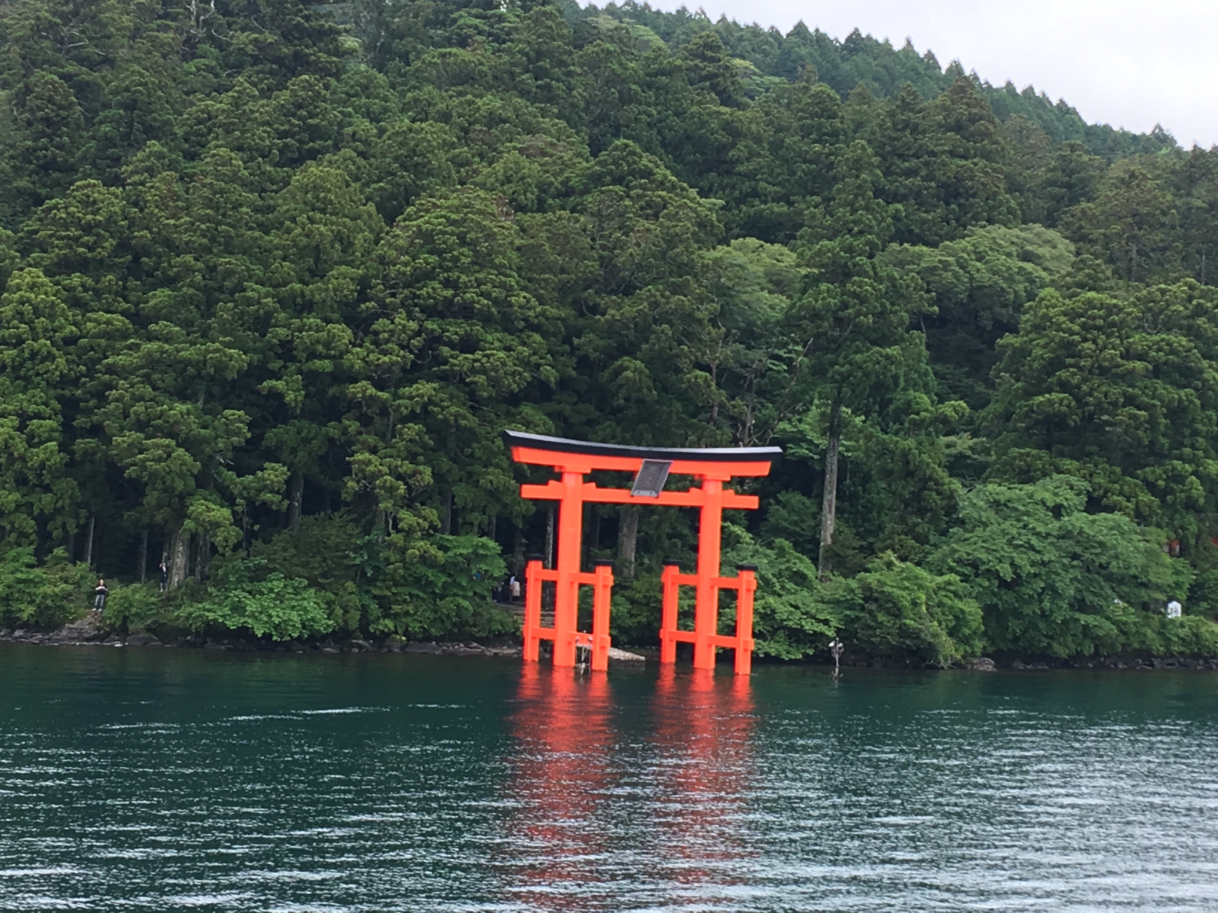 One More Activity : Hakone Shrine