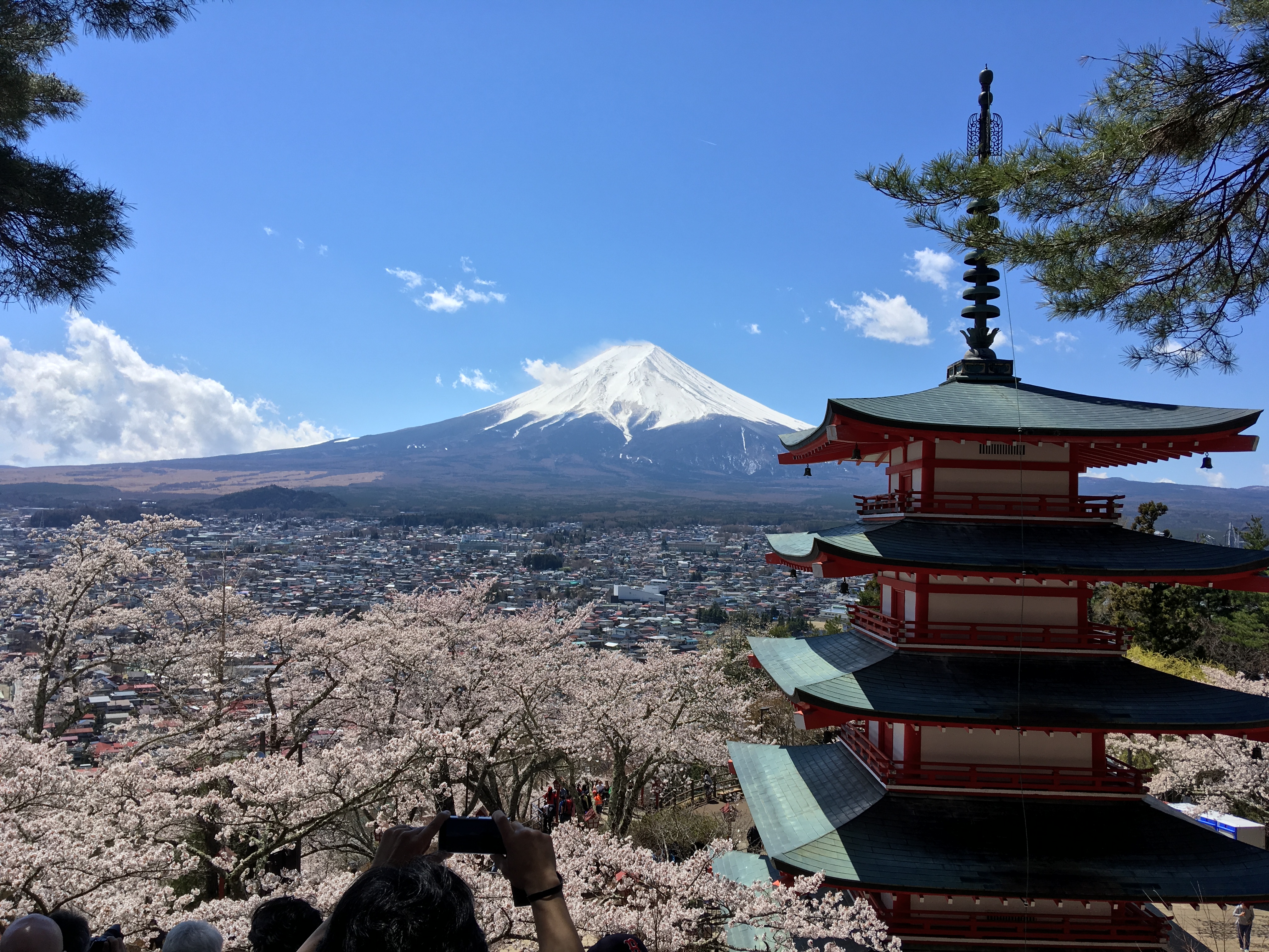how much is mt fuji tour